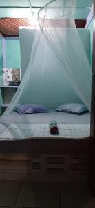 Dendi guest house & orang utan explore