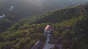 Sighnaghi Hotel Fence Door&Сигнахи Отель Ворота Крепости&სიღნაღი სასტუმრო გალავნის კარი