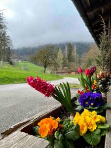 Ferienwohnung Bleckwand am Buchberghof