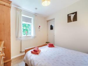 SnowCottage - W43121