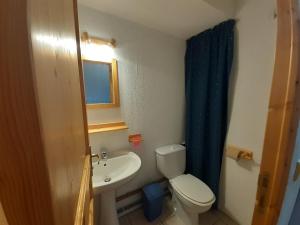 Appartement 3 pièces pour 6 personnes, balcon, skis à 50m, parking gratuit - FR-1-561-69