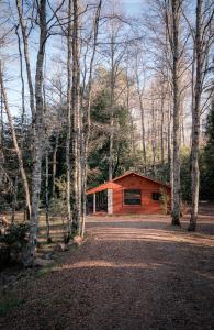 Lodge Rio Encantado, Pucon