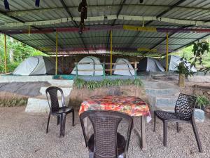 Spies Munnar Camping