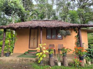 Spies Munnar Camping