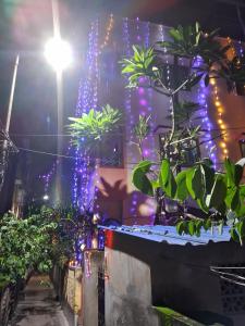 Elegant Homestay, Baghajatin Gangulybagan