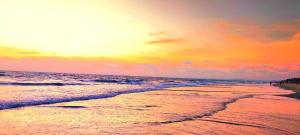 Golden Sandy Shores, 1bhk beach apartment