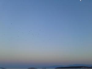 Niriides Parnassos Greece