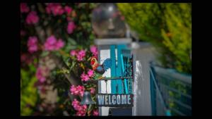 Studio Napoleon Thassos Greece