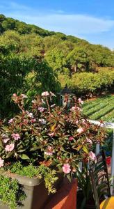 Khushi Riverside Resort & Spa