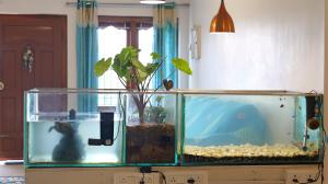 Happy Villa By Eden Luxury Stay