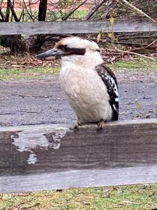 3 Bedroom Holiday house