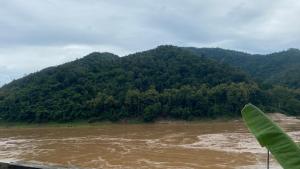 Mekong backpackers 2