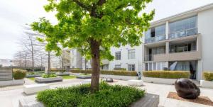 Andringa Walk, Modern 2 Bedroom Apartment