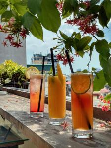 Hanoi EcoStay 2 hostel