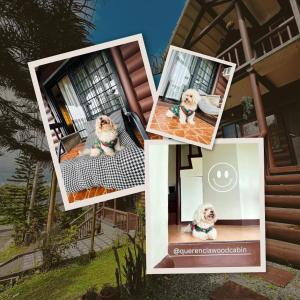 The Wood Cabin Home Tagaytay with Billiards and Minipool 10mins from Skyranch
