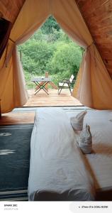 Mimosa Backpackers Hostel