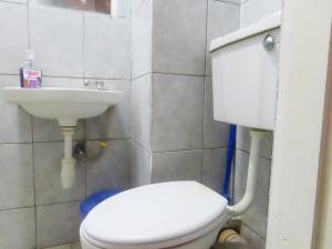 Havlena Coral Studio