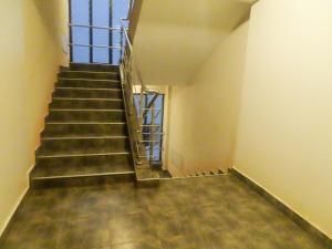 Havlena Coral Studio