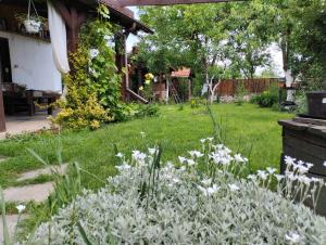 Садиба-студіо Під вишнею