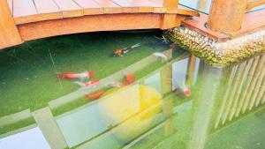 Villa Sabalangá Barra de São Miguel -Hosti