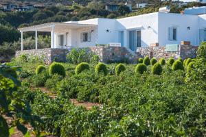 Villa Maria with Private Swimming Pool Paros Greece