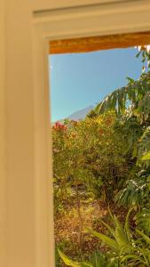 La Paredita Casa Acentejo