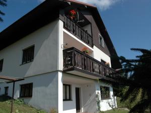 Spacious cottage in the Giant Mountains, 1 km from the skislopes