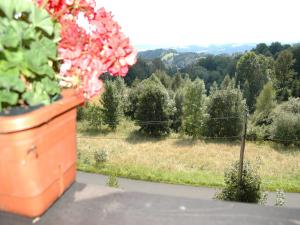 Spacious cottage in the Giant Mountains, 1 km from the skislopes