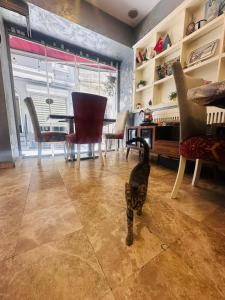 Taksim AlyonSuite Hotel Istanbul