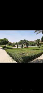 كمبوند ستون ريزدنس