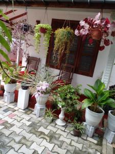 Gem Villa