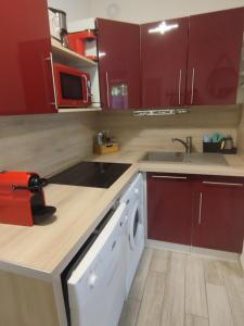 Charmant T2 RD jardin grande terrasse coeur ville plage 2 m clim garage wifi