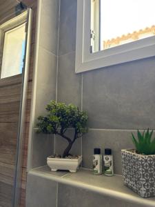 Pinelopi family Apartment