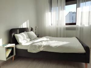Rothko -Cosy Apartment in the Old Center