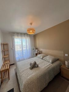Le Newton Appartement Polygone Wifi