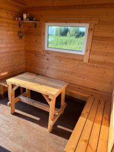 Pirtelė ant tvenkinio kranto