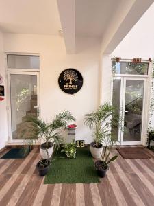 Wellness Residencies