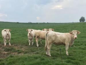 Charmante maison au calme proche de la mer