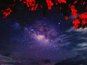 Napahong Treehouse นาป่าฮง Andromeda & Cassiopeia