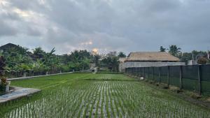 Ketuts Place Penestanan Ubud