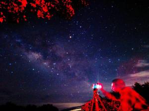 Napahong Treehouse นาป่าฮง Andromeda & Cassiopeia