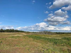 14 person holiday home in Vejby