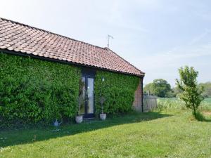 The Studio-Uk11822