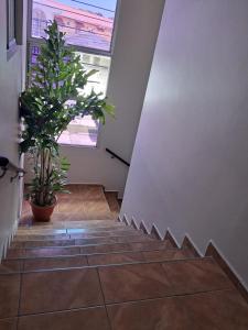 Apartamento Esmeralda