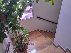 Apartamento Esmeralda