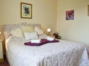 Cefn Helyg Bach - 28453