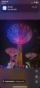 Anna Vinhomes Grand Park
