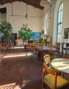 Platano by Monteverdi