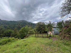 Cozy Guesthouse in Qvabgha, 5 min from Nabeghlavi