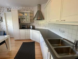 Villa Aleksanteri, a spacious detached house in Lapland